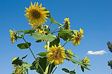 《永劫无间》开测近一周 已累计封禁作弊者5817人